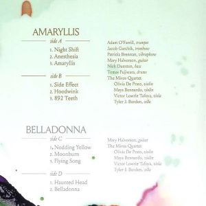 Mary Halvorson - Amaryllis & Belladonna (2 x Vinyl)