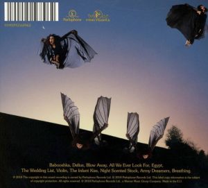 Kate Bush - Never For Ever (2018 Remaster, Digipack) [ CD ]