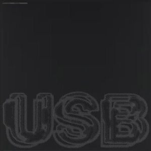 Fred Again.. - USB (2 x Vinyl)