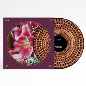 Richard Hawley - Coles Corner (20th Anniversary Edition, Zoetrope Picture Disc) (Vinyl)