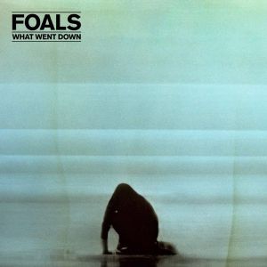 Foals - What Went Down (Limited Clear & Black Coloured) (Vinyl)