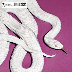 Deftones - Private Music (Limited Alternate Cover, Fog Grey Coloured) (Vinyl)