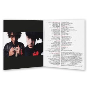 She Wants Revenge - She Wants Revenge (2 x Vinyl)