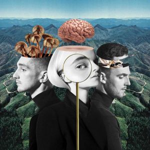Clean Bandit - What Is Love? (Deluxe Edition) (2 x Vinyl)