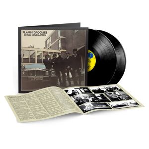 Flamin' Groovies - Shake Some Action (Limited Edition) (2 x Vinyl)