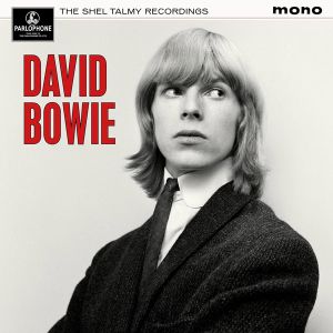 David Bowie - The Shel Talmy Recordings (Limited Edition) (Vinyl)