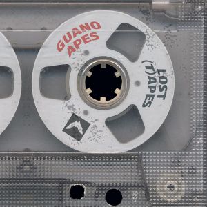 Guano Apes - The Lost (T)Apes (Vinyl)