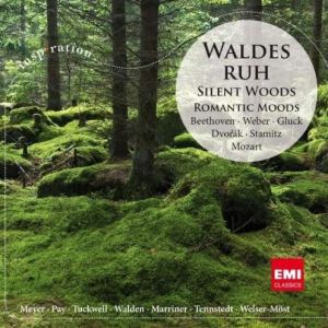 Silent Woods-Romantic Moods - Various Artists [ CD ]